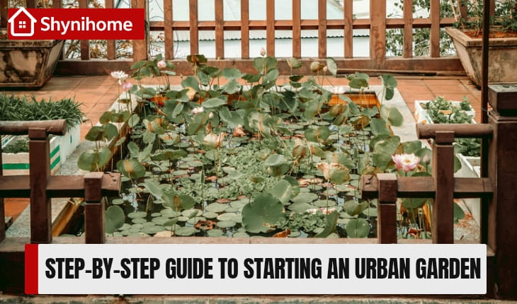 Beginner Urban Gardening