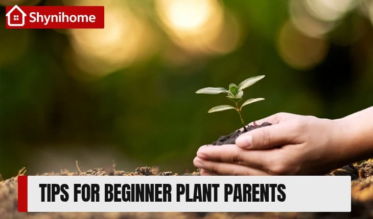 Plants for Beginners