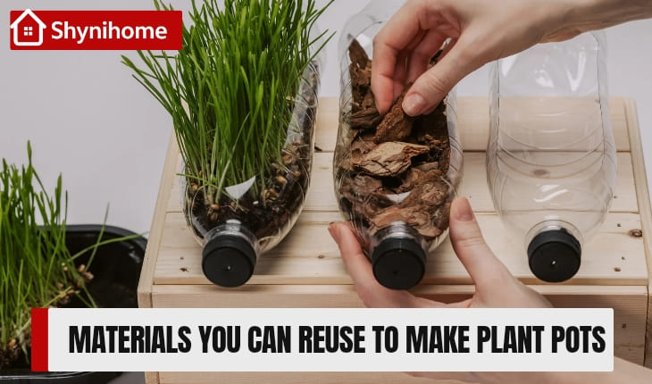 plant pots