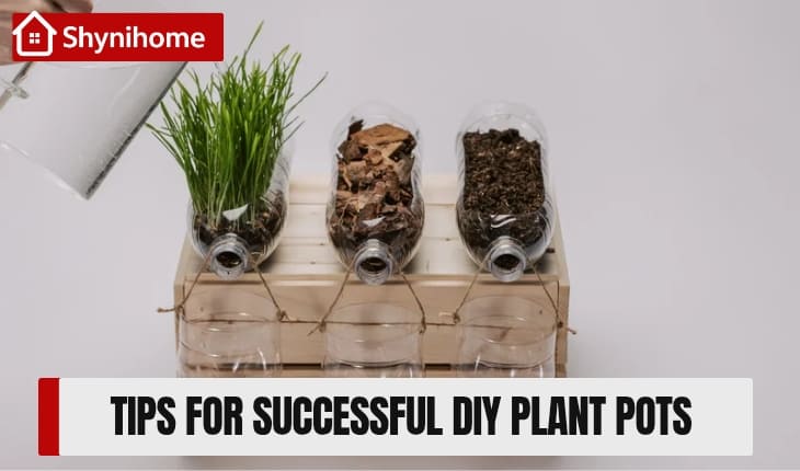 plant pots