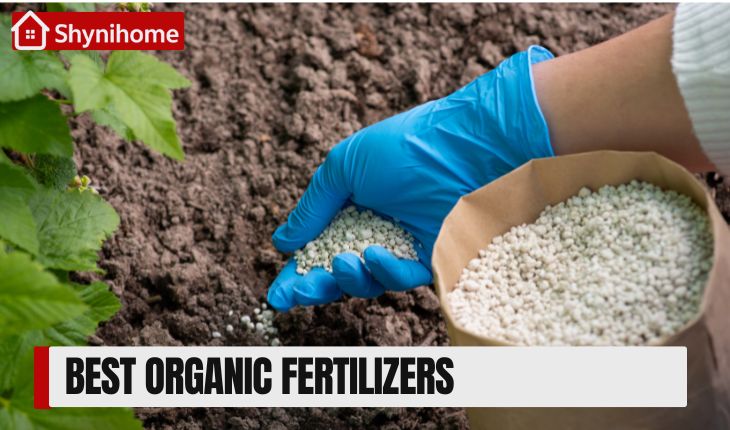 Organic Fertilizers
