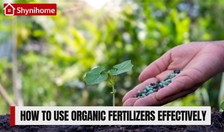Organic Fertilizers