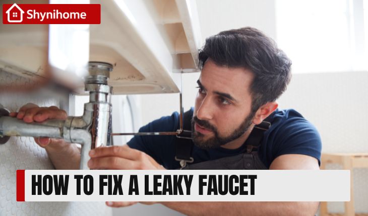 How to Fix a Leaky Faucet