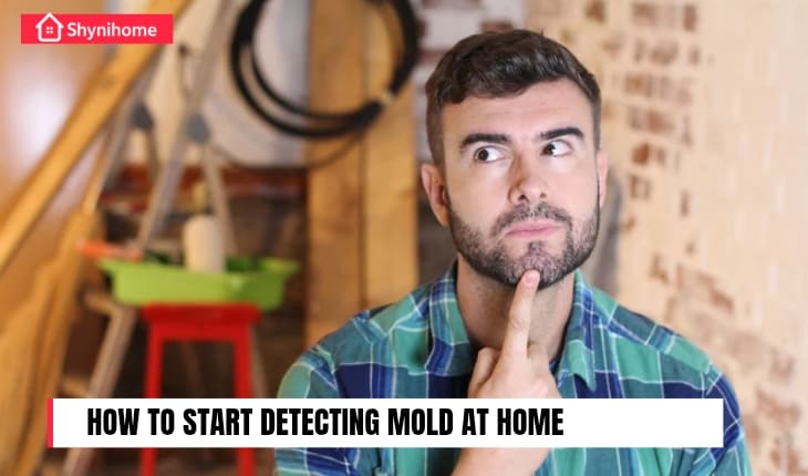 Detecting Mold