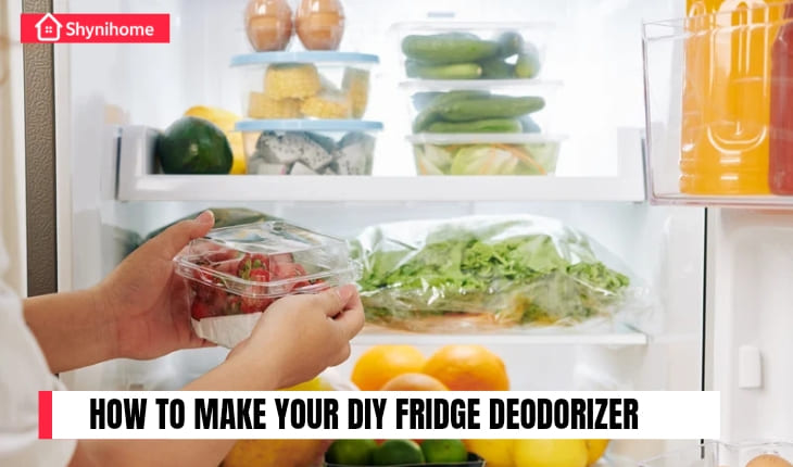 Fridge Deodorizer