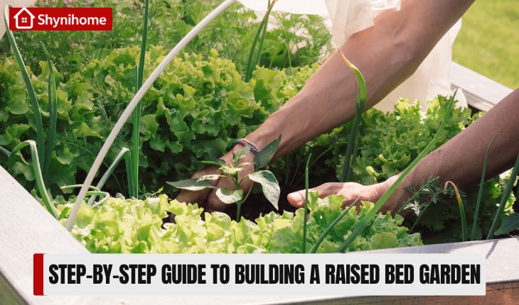 Raised Bed Garden