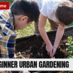 Beginner Urban Gardening