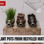 plant pots