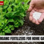 Organic Fertilizers