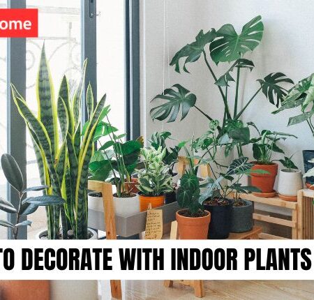 🌿 How to Decorate with Indoor Plants the Right Way