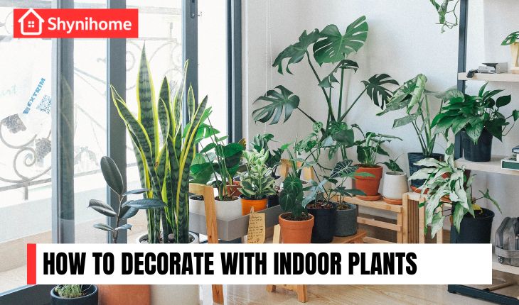 🌿 How to Decorate with Indoor Plants the Right Way