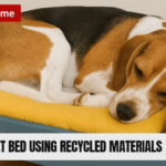 Pet Bed
