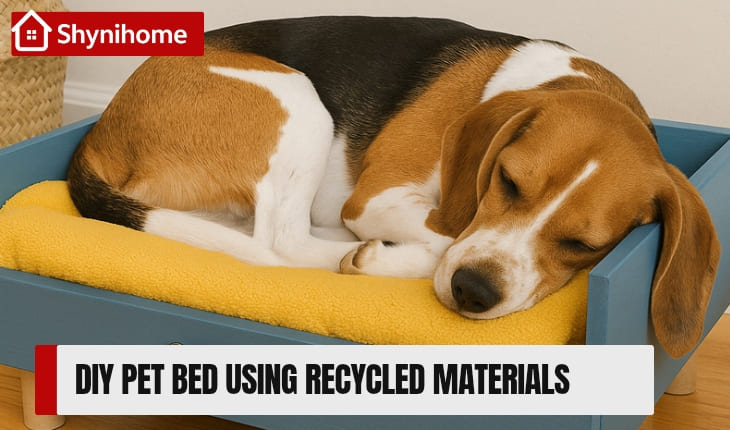 🐾 DIY Pet Bed Using Recycled Materials