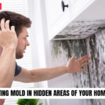 Detecting Mold