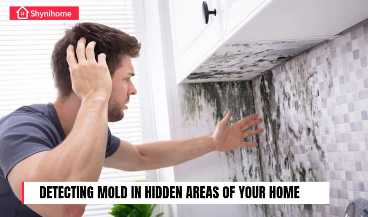 🦠 Detecting Mold in Hidden Areas of Your Home