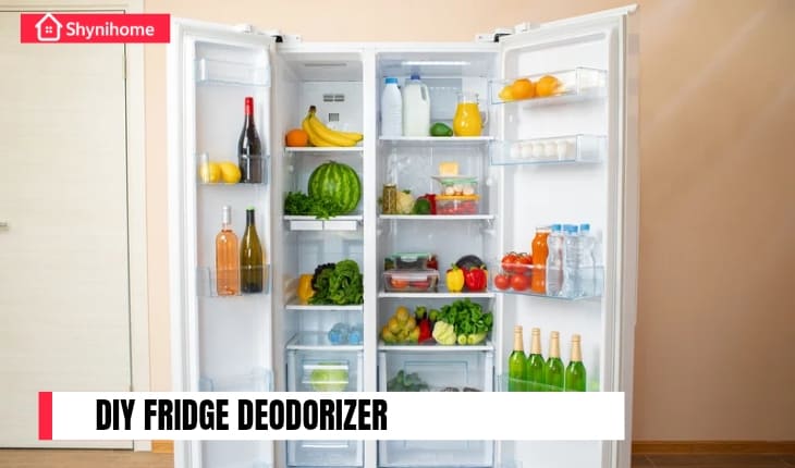 π§ DIY Fridge Deodorizer Using Baking Soda and Citrus