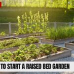 Raised Bed Garden