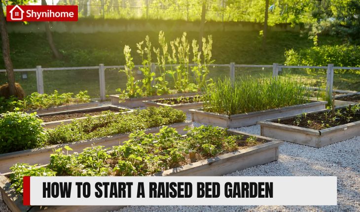 ๐ฑ How to Start a Raised Bed Garden in Small Yards