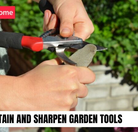 🌿 How to Maintain and Sharpen Garden Tools